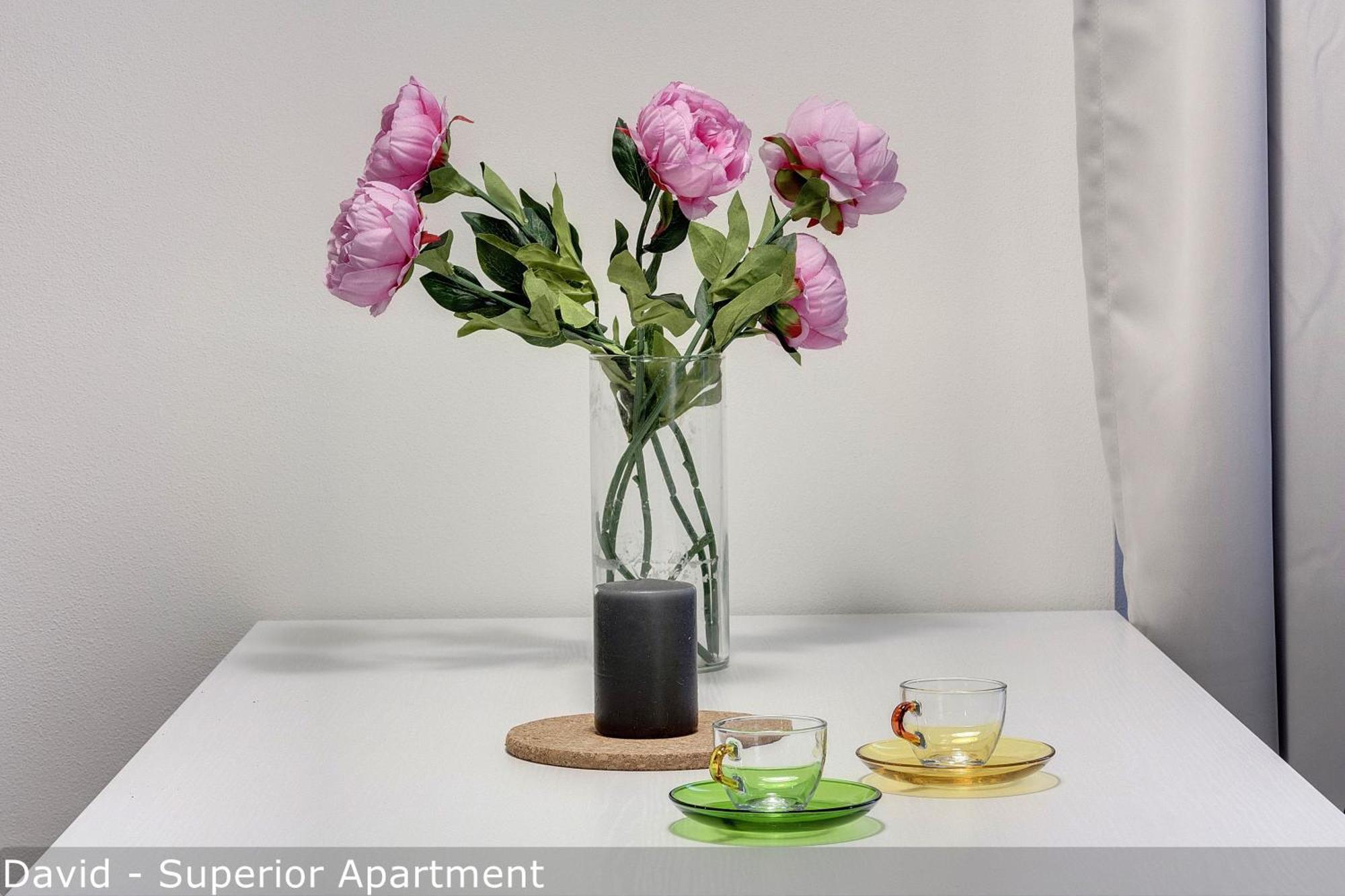 David & Buonarroti Apartments By Mamo Florence Room photo